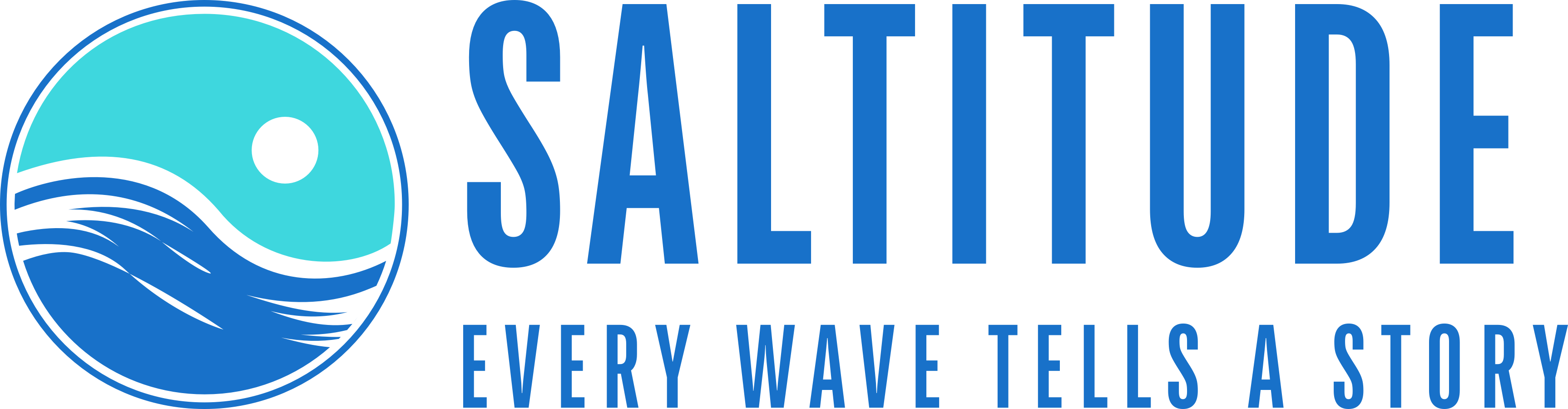 saltitude-logo-horizontal